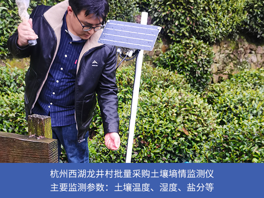 开云登陆口网页版